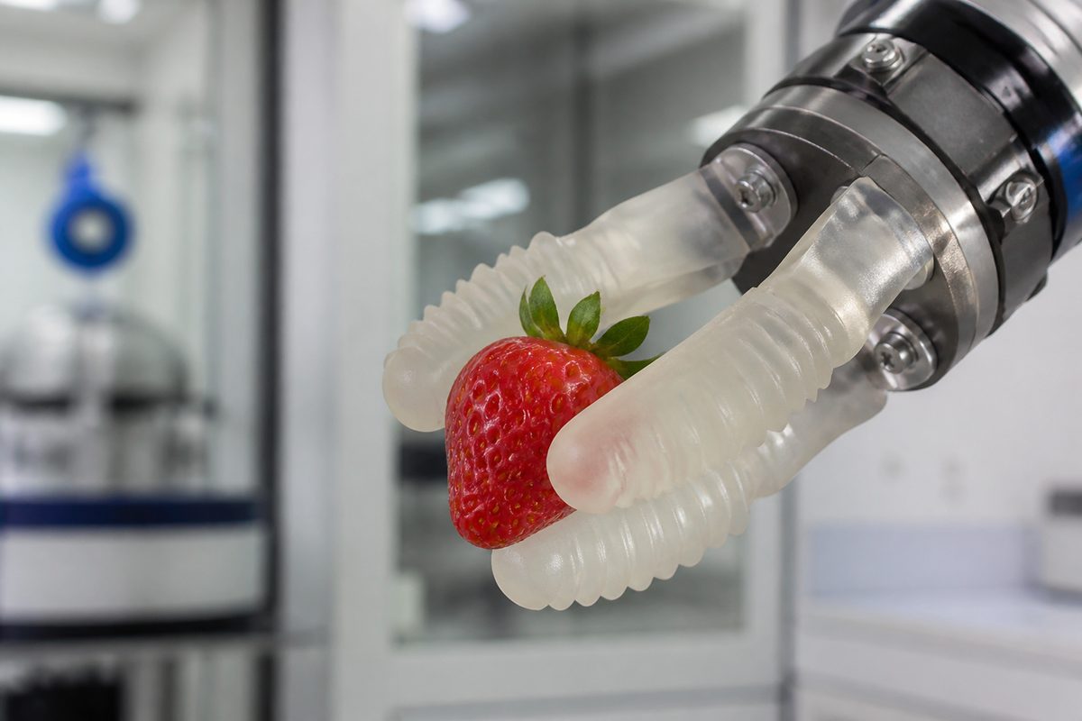 Soft Robotics: Why the Future of Robots Might Be Squishy